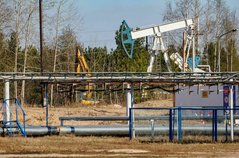 Специальные карты месторождений предложили не размещать в интернете