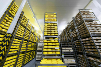 Сенатор предложил запретить дарксторы в жилых домах