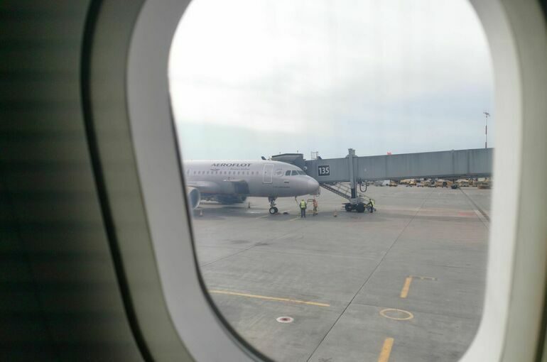 Аэропорты Внуково и Домодедово приостановили работу