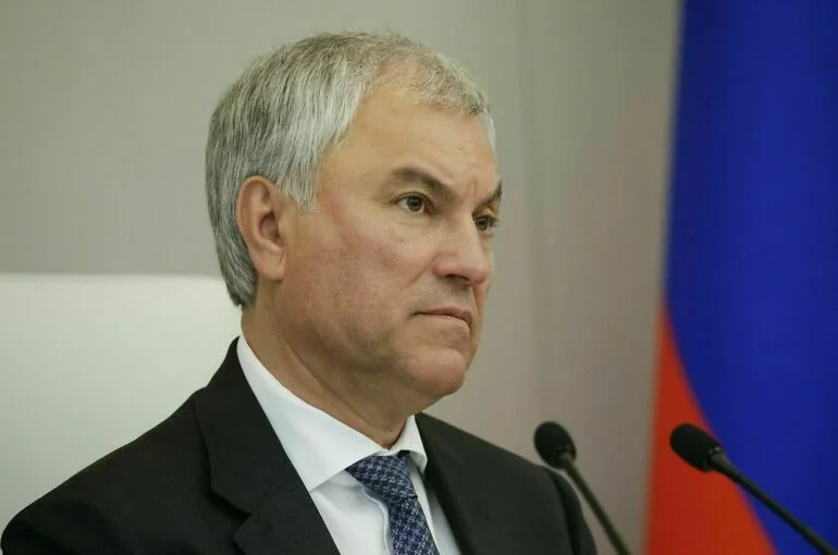 Володин: Развитие металлургии имеет стратегическое значение для обороноспособности страны