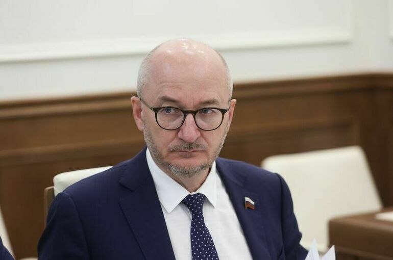 Сенатор Цепкин назвал Подносову максимально компетентным и опытным юристом