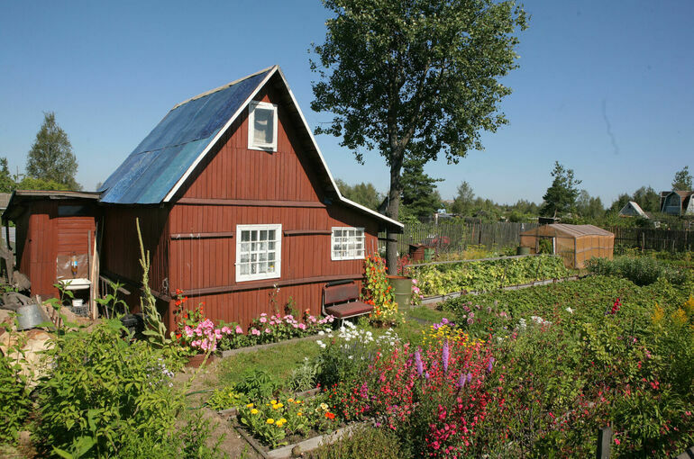 Садовые товарищества запретят создавать на сельхозугодьях 