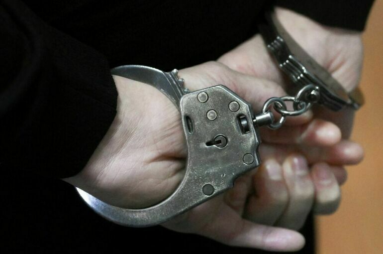 РИА Новости: Следствие попросит суд арестовать главреда Baza