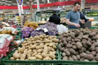 В России за неделю подешевели картофель, свекла и капуста