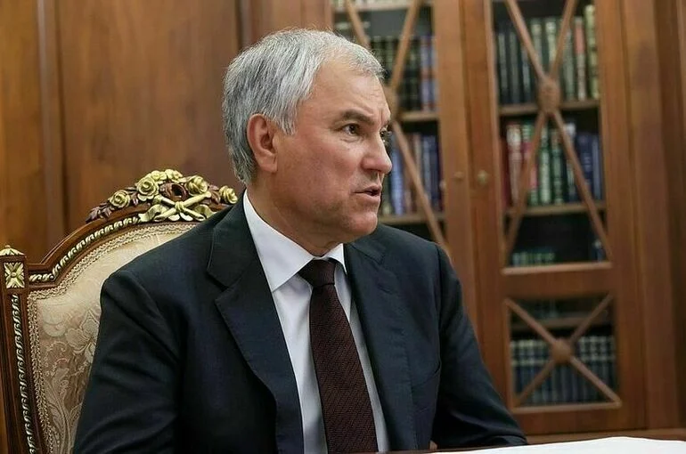 Вячеслав Володин.