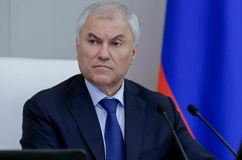 Володин рассказал, сколько людей попали под действие закона о дропперах