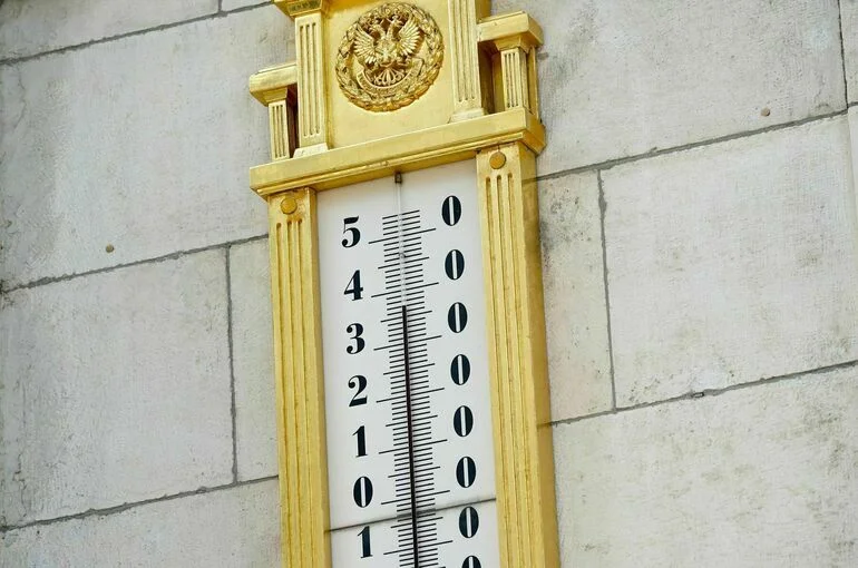 В Москве зафиксировали высокую активность пыльцы в воздухе на фоне жары