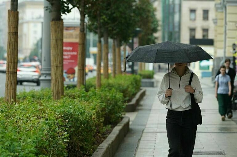 В Москве ожидаются сильные дожди и порывистый ветер в начале рабочей недели