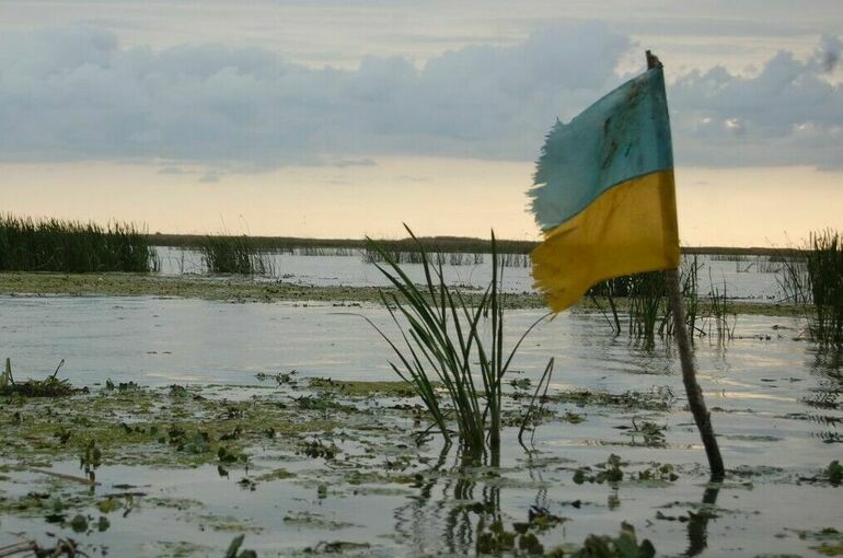 Готовивший взрыв в Подмосковье агент Киева бежал от мобилизации на Украине