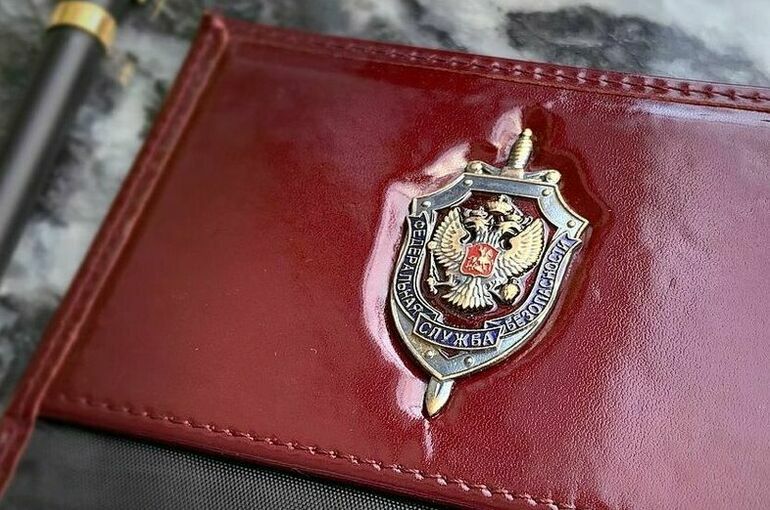 В России с начала 2025 года предотвратили больше 170 терактов