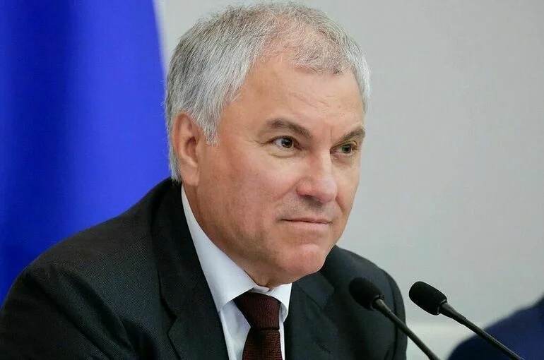 Володин завел канал в мессенджере MAX