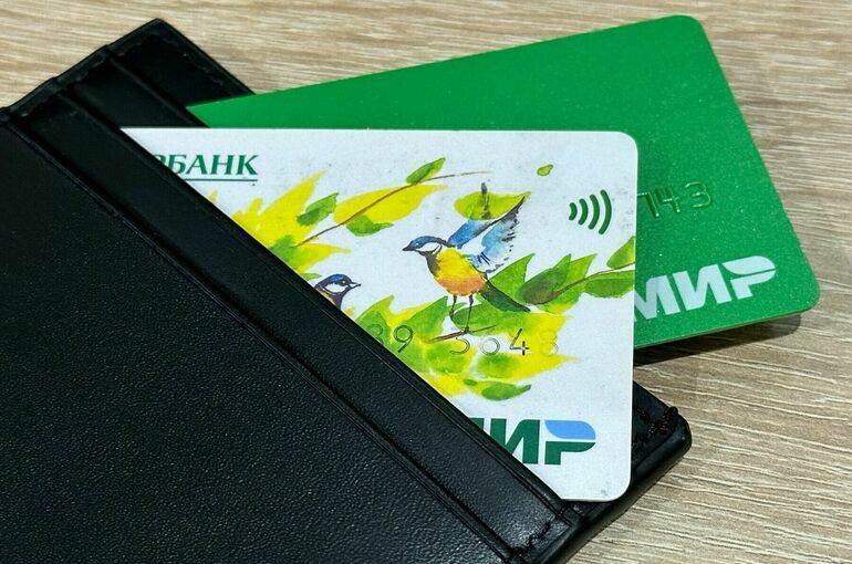 Нью-Дели и Москва обсуждают технические аспекты приема карт «Мир» в Индии