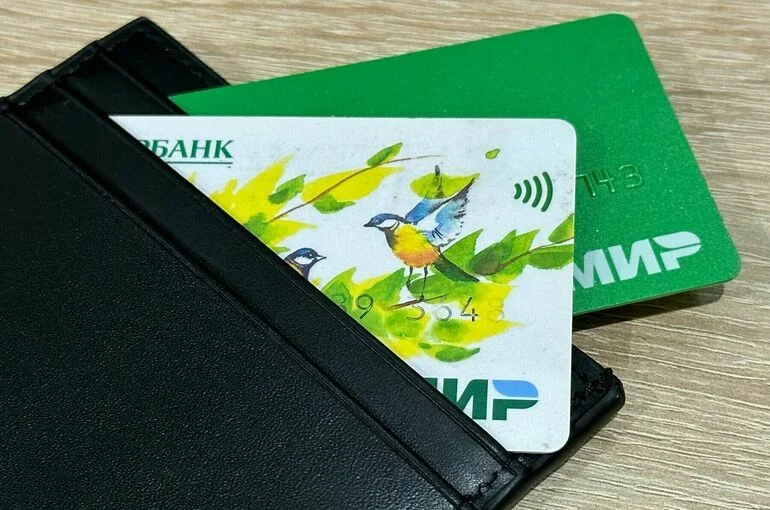 Нью-Дели и Москва обсуждают технические аспекты приема карт «Мир» в Индии