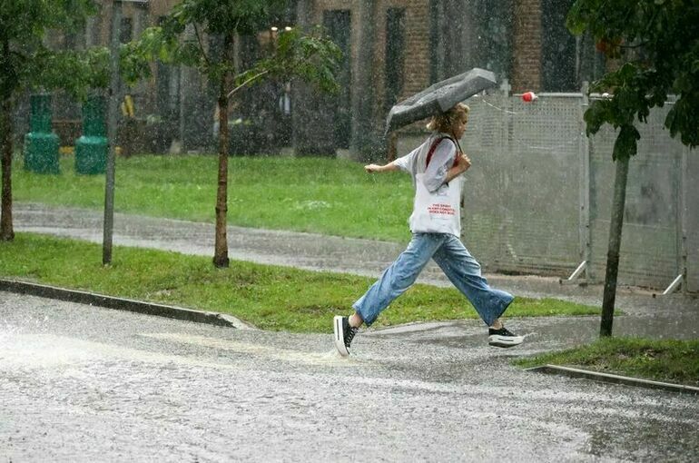 Москвичей предупредили о месячной норме осадков на следующей неделе