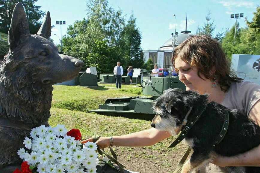 Верный друг до последнего вздоха: как собаки спасают жизни на СВО