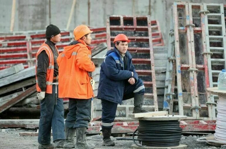 В МВД назвали число депортированных мигрантов за полгода
