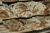Эксперты рассказали, что влияет на вкус хлеба