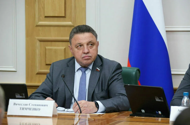 Сенатор Тимченко призвал полностью запретить вейпы в России