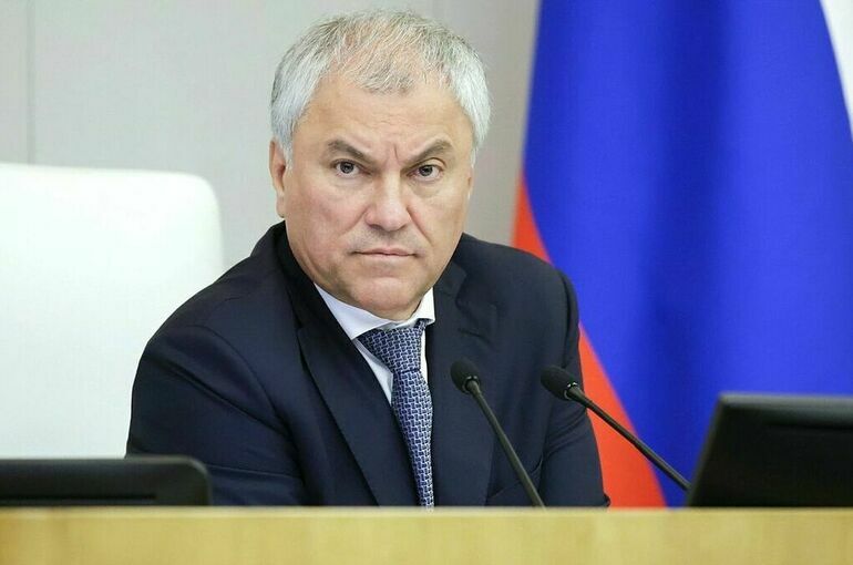 Володин сообщил о сокращении количества детей иностранцев, принятых в школы