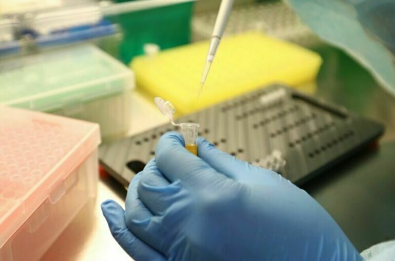 В Роспотребнадзоре назвали новую пандемию COVID-19 маловероятной