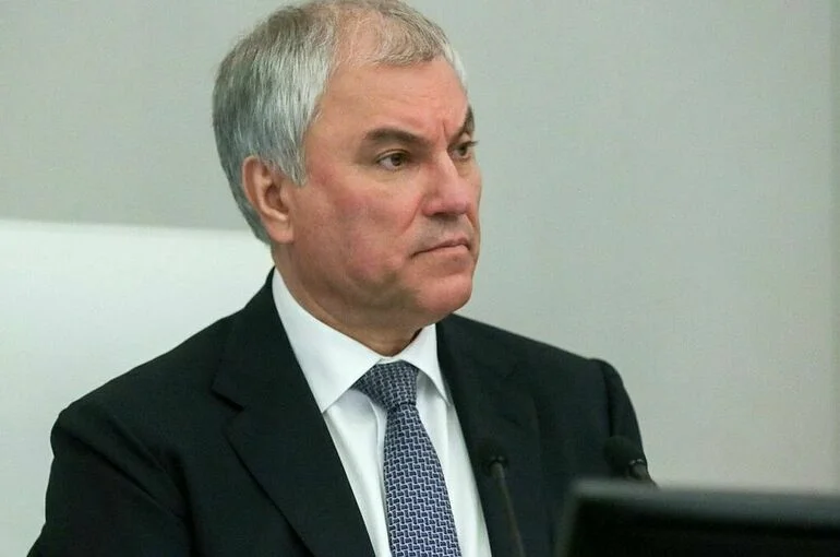 Володин: Вернувшиеся релоканты не должны работать на госслужбе