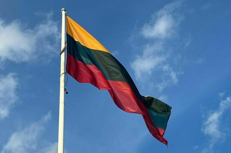 Власти Литвы допустили отправку военных на Украину
