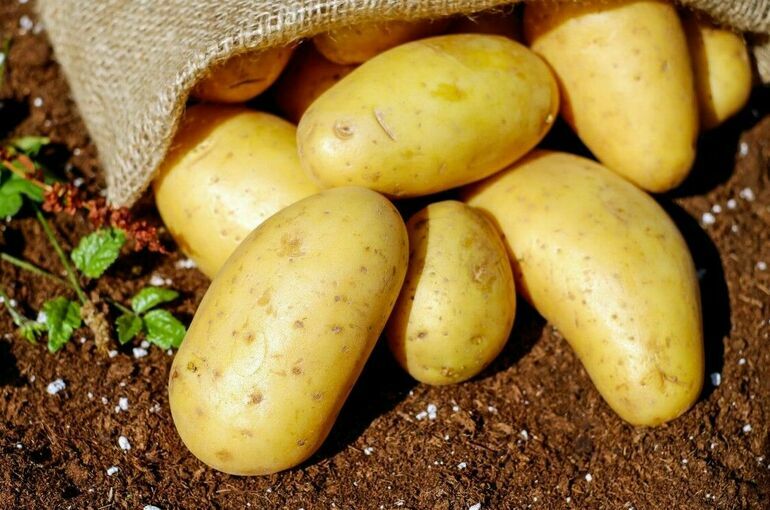 Россия впервые за девять месяцев не ввезла картофель из Грузии