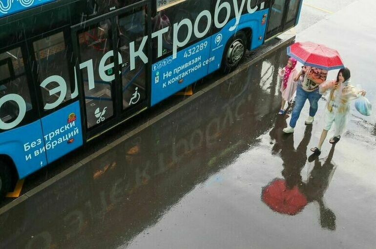 Синоптик спрогнозировал похолодание и дожди в центре европейской части России