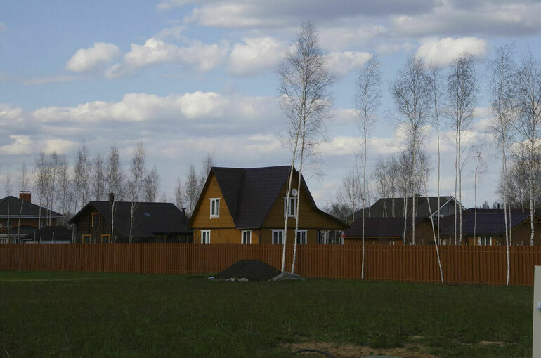 Дачникам рассказали, когда можно требовать удаления дерева на участке соседа