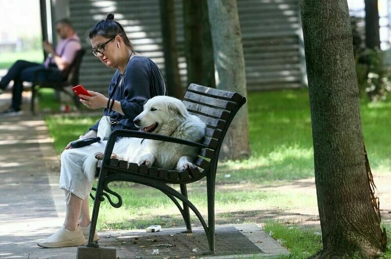 Депутат: Белый список онлайн-сервисов будет одинаковым для всех операторов связи