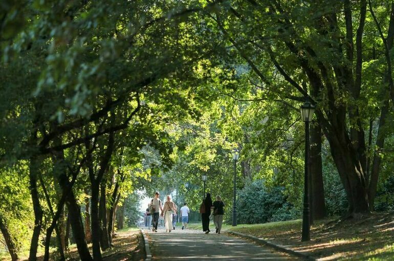 Синоптик спрогнозировал похолодание и туманы в центре европейской части России