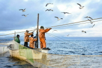 Краснокнижных рыб лучше защитят от браконьеров