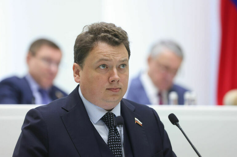 Сенатор: Россия сильна экономически и политически, несмотря на санкции