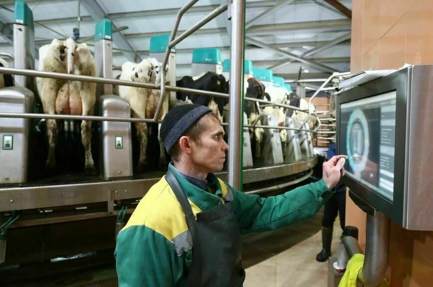 Буренок и несушек в подсобных хозяйствах предложили пересчитать
