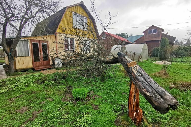 Росреестр организовал горячие линии по использованию садовых участков