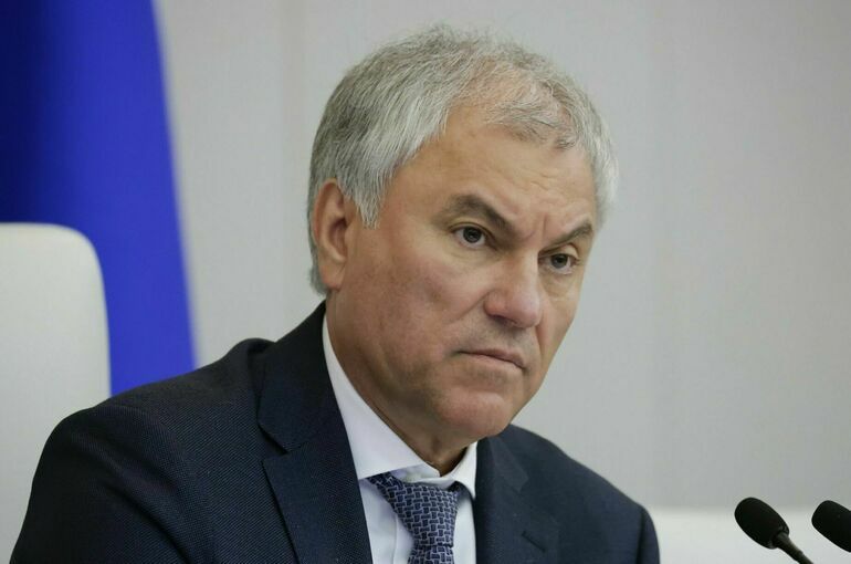 Володин: Вопросы борьбы с незаконной миграцией остаются на контроле депутатов