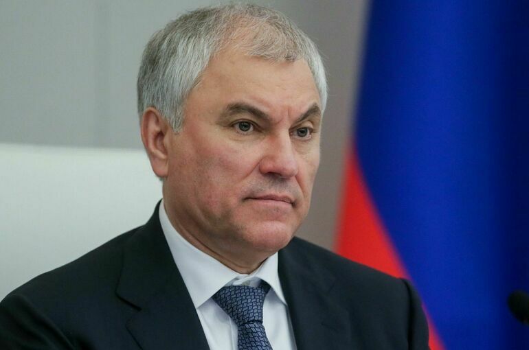 Володин посоветовал депутатам избегать предвыборной демагогии