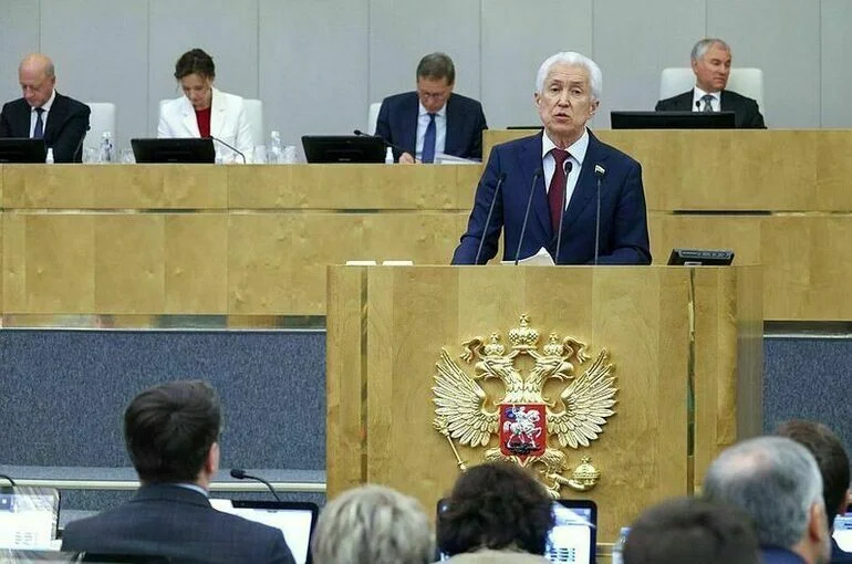 Руководитель  фракции «Единая Россия» в Государственной Думе Владимир Васильев