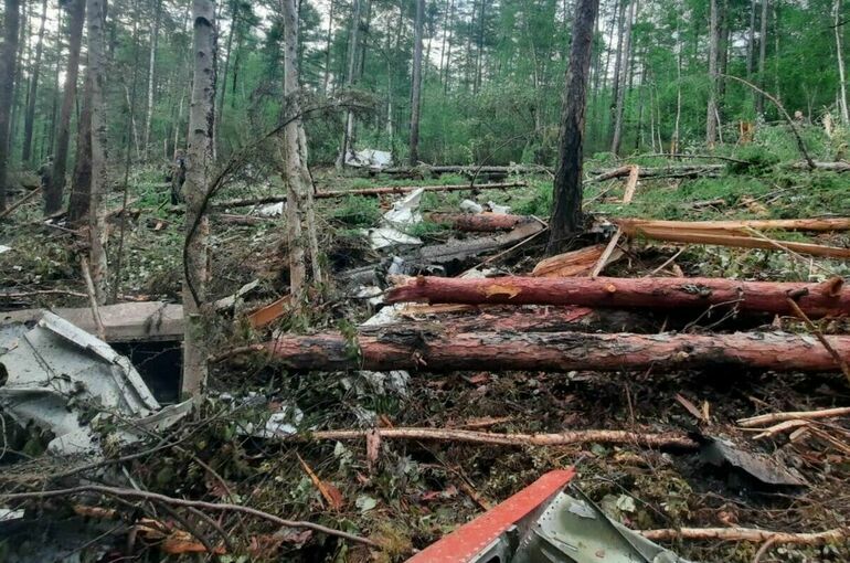 Опубликованы последние слова экипажа Ан-24 перед крушением под Тындой