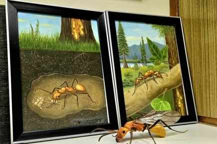 Почему у муравьев нет демократии?