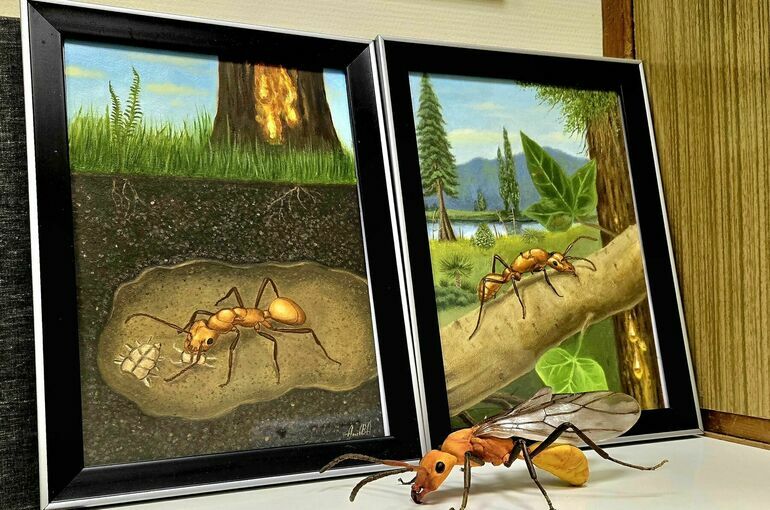 Почему у муравьев нет демократии?