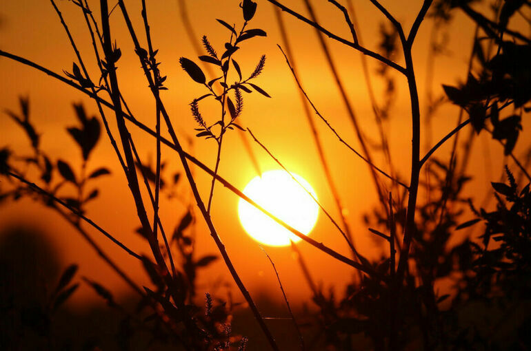 На Солнце зафиксировали мощнейшую за три месяца вспышку