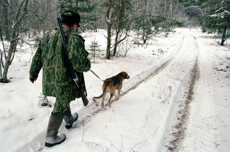 Кабмин одобрил повышение охотничьих сборов в несколько раз