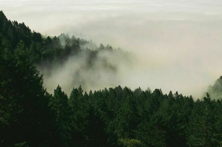 Семью туристов с ребенком пятый день ищут в красноярской тайге