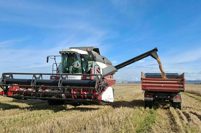 В Красноярском крае показатели уборочной кампании выше прошлогодних