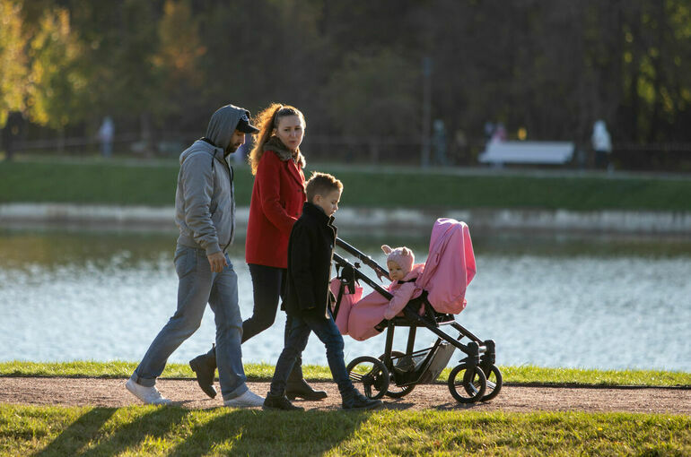 Сенаторы предлагают модернизировать систему маткапитала