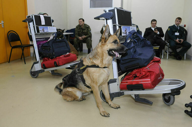 За три года на границе России изъяли свыше 62 тонн наркотиков