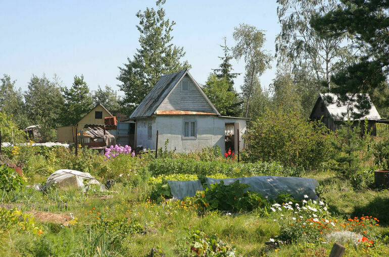 У многодетных хотят запретить взыскивать бесплатную землю за долги