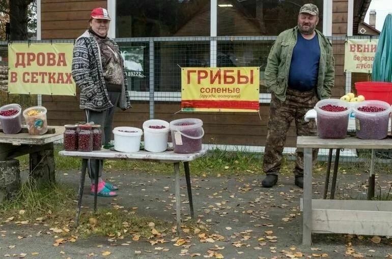 Торговок грибами предлагают в лес не пускать