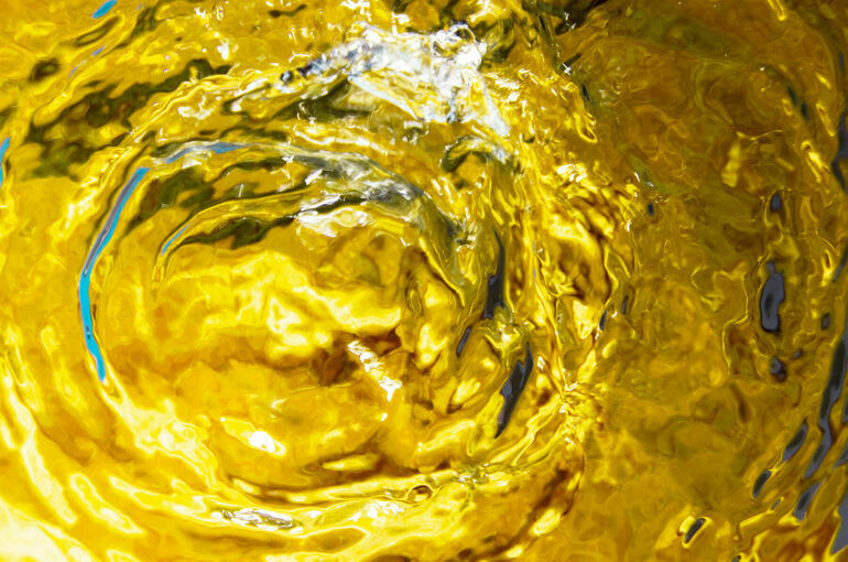 В Госдуме рассмотрят обращение в кабмин о пальмовом масле